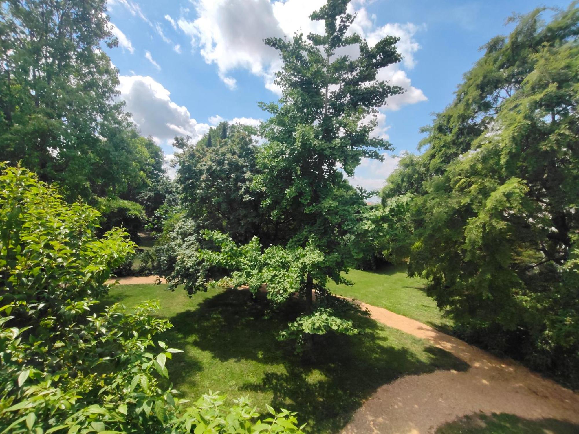Вилла Casale Del Leon Доло Экстерьер фото